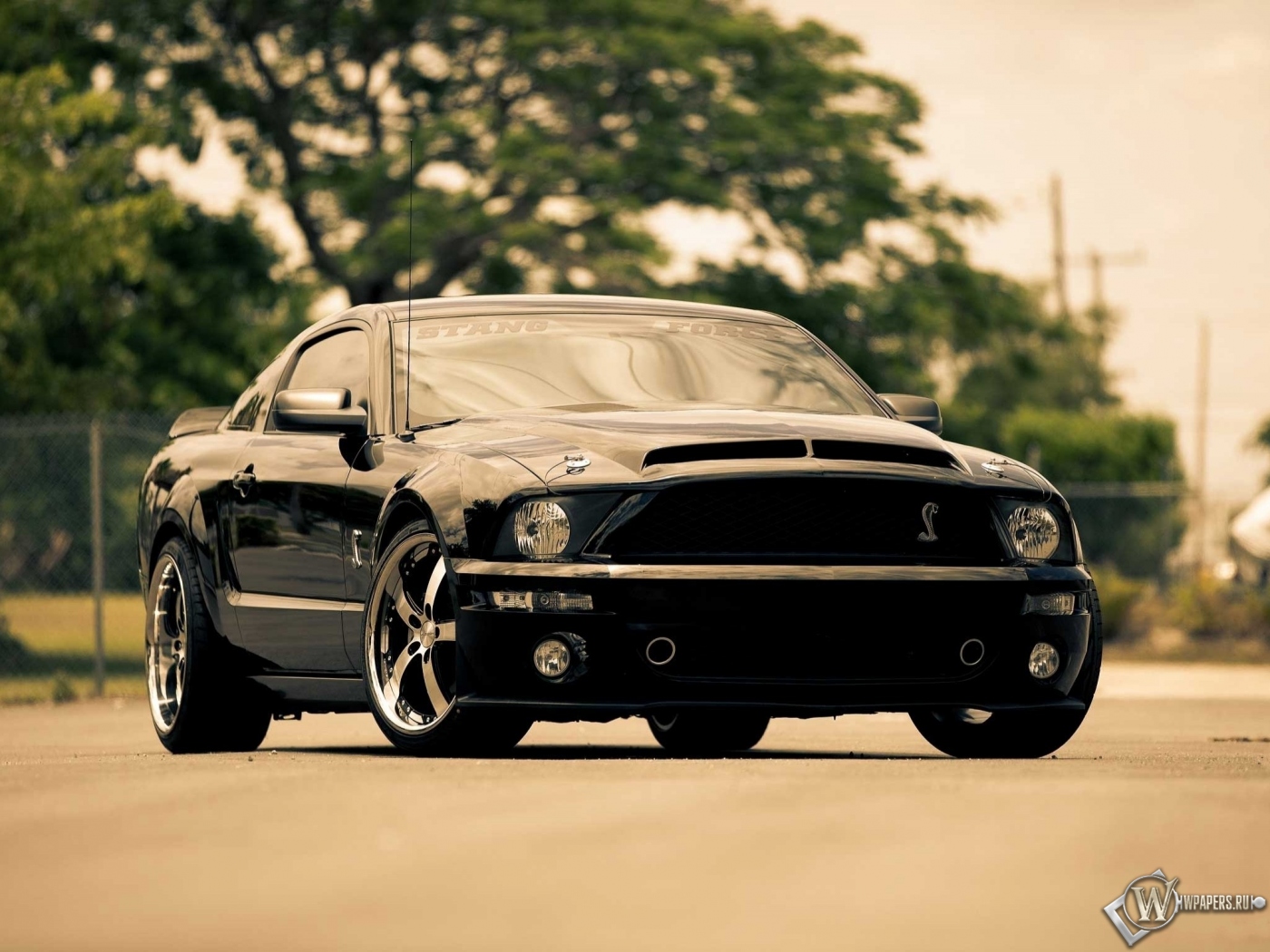 Ford Mustang GT 1400x1050