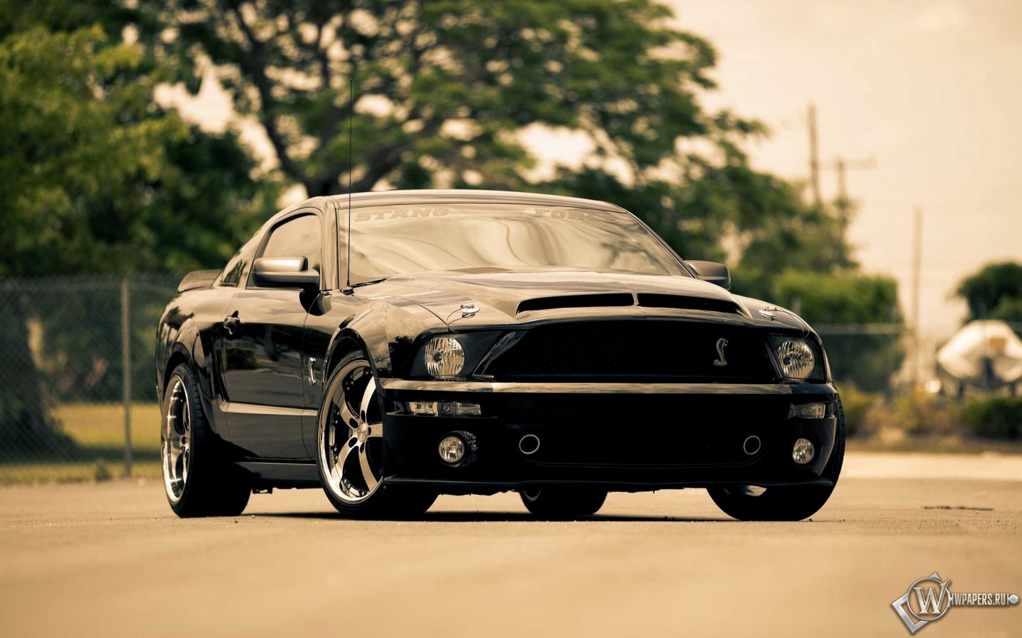 Ford Mustang GT 1440x900