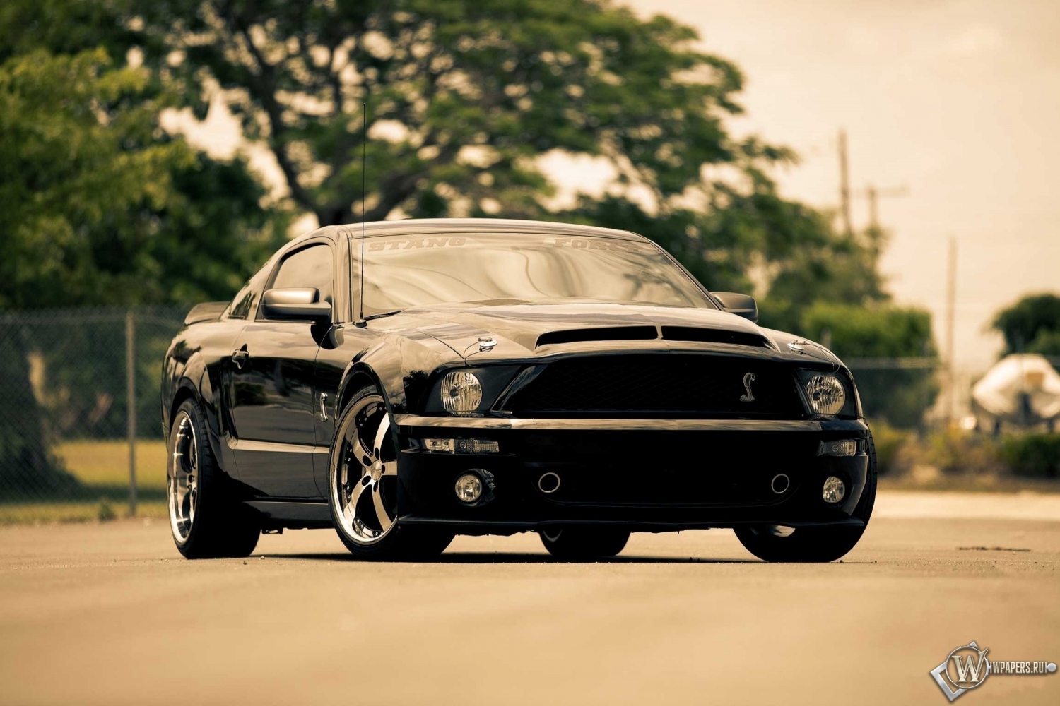 Ford Mustang GT 1500x1000