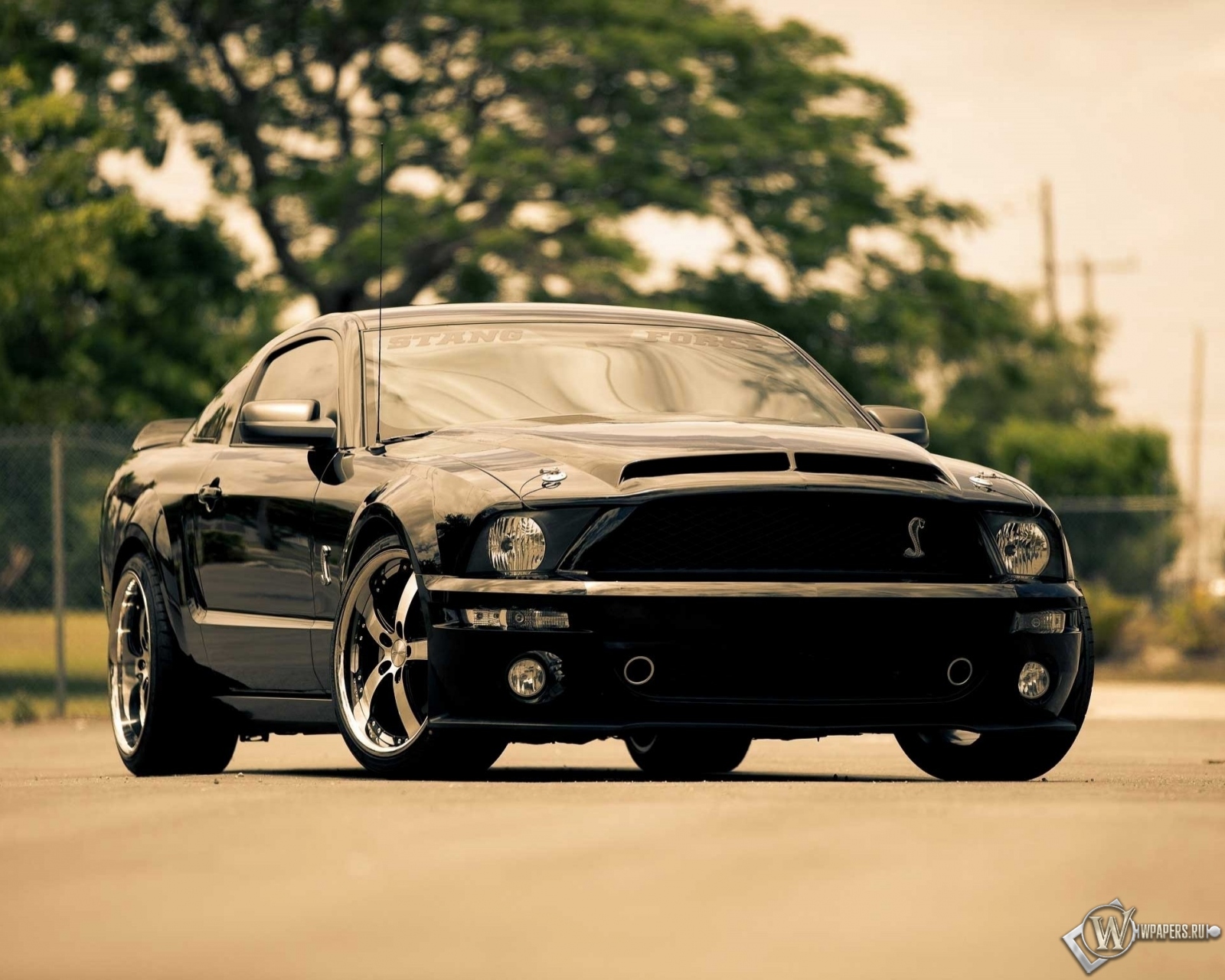Ford Mustang GT 1600x1280