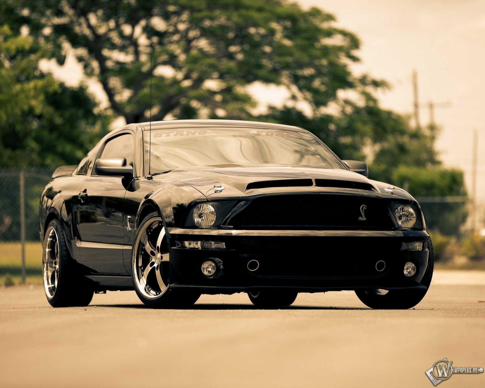 Ford Mustang GT 2048x1638