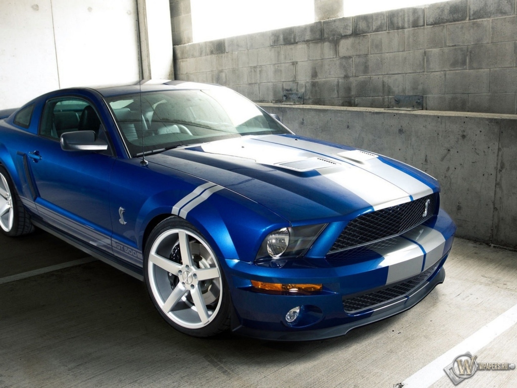 Ford Shelby GT 500 1024x768