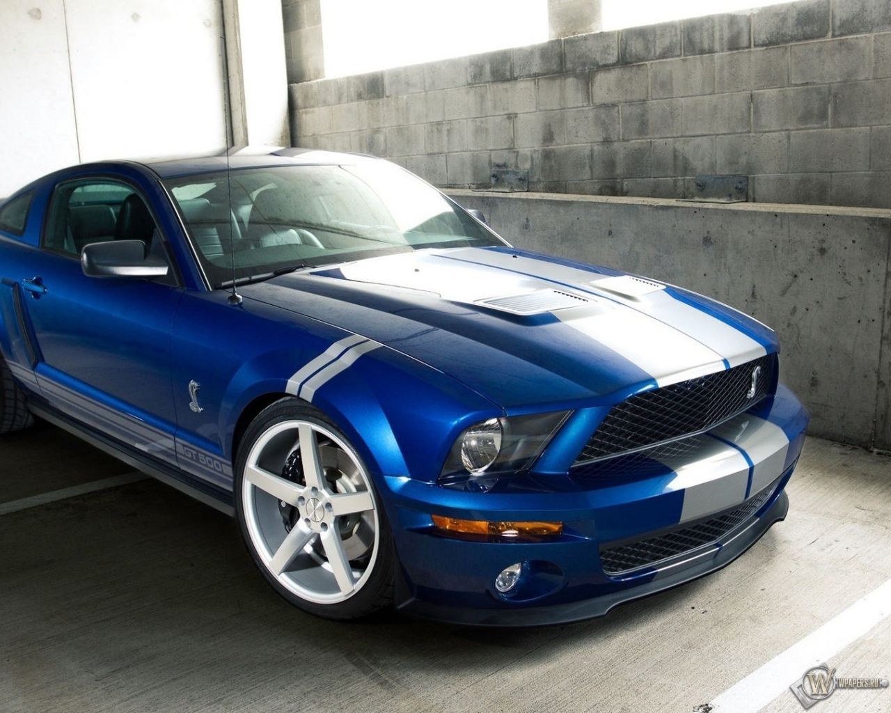 Ford Shelby GT 500 1280x1024