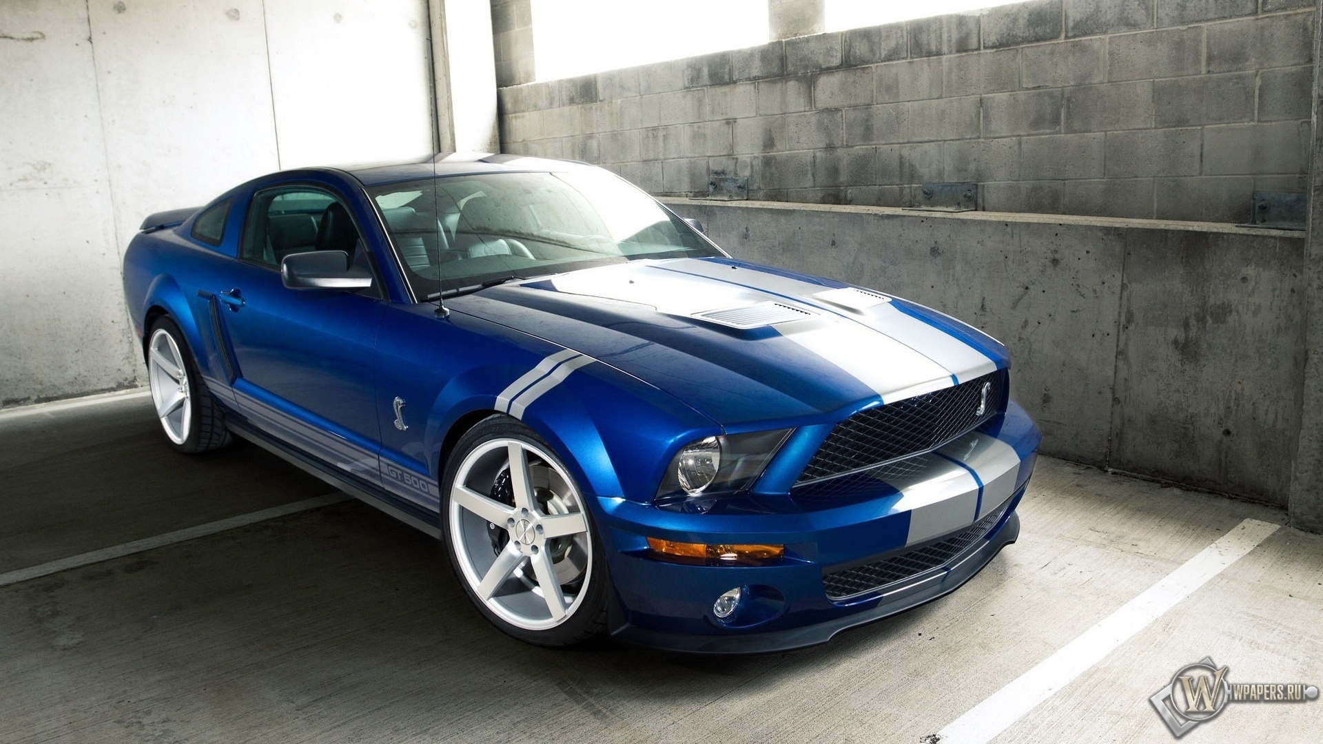 Ford Shelby GT 500 1920x1080