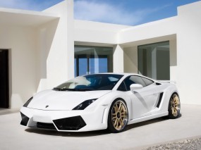 Обои Белая ламборджини: Lamborghini, Lamborghini