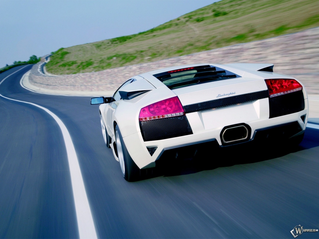 White Lamborghini 1024x768