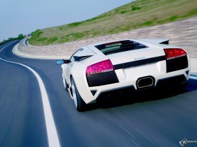 Обои White Lamborghini: Lamborghini Murcielago, Lamborghini