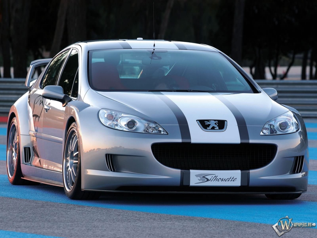 Peugeot 407 Coupe 1024x768