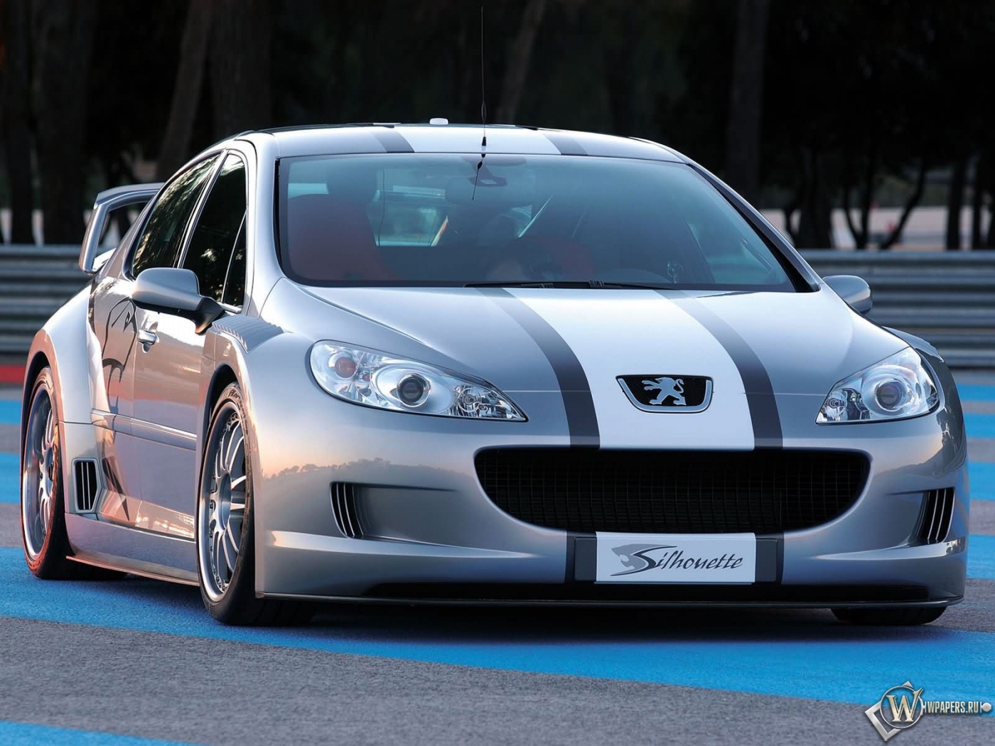 Peugeot 407 Coupe 1400x1050