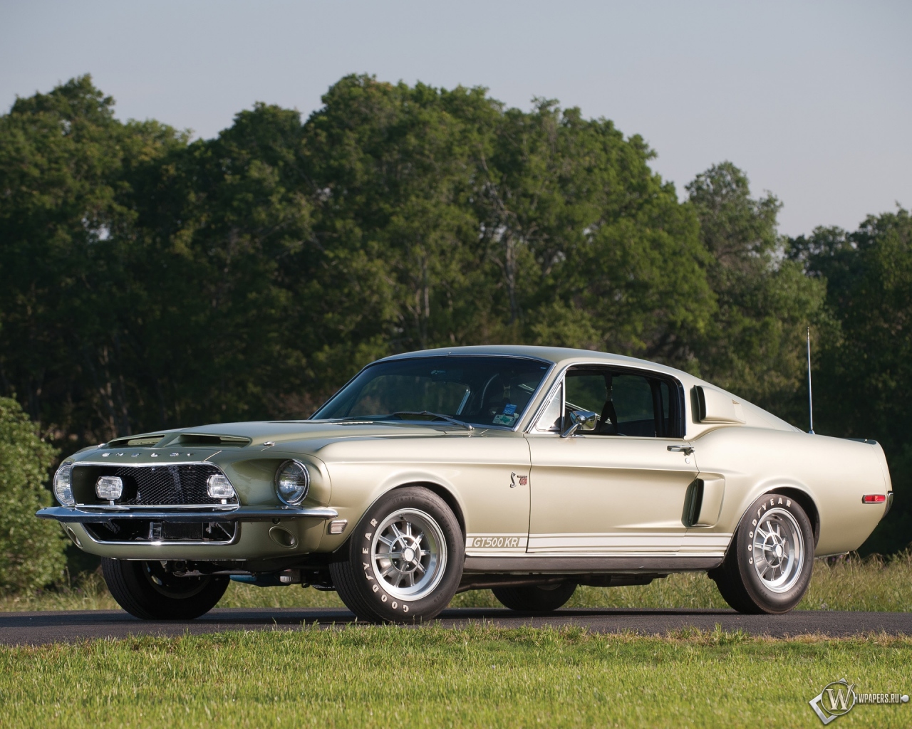 Shelby GT500 KR 1968 1280x1024