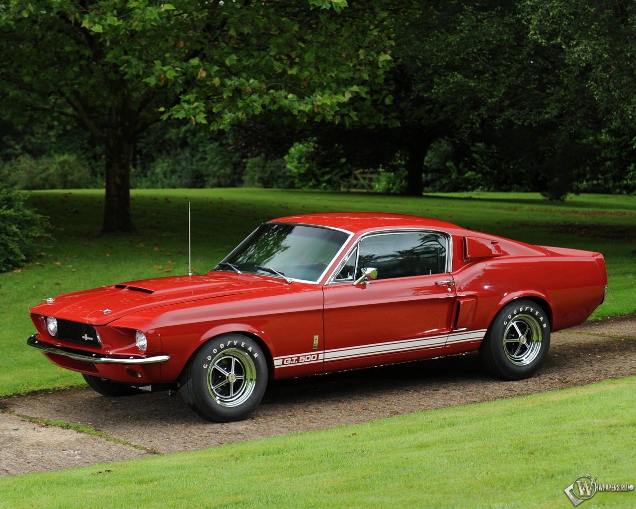 Shelby-GT500 1967 1280x1024