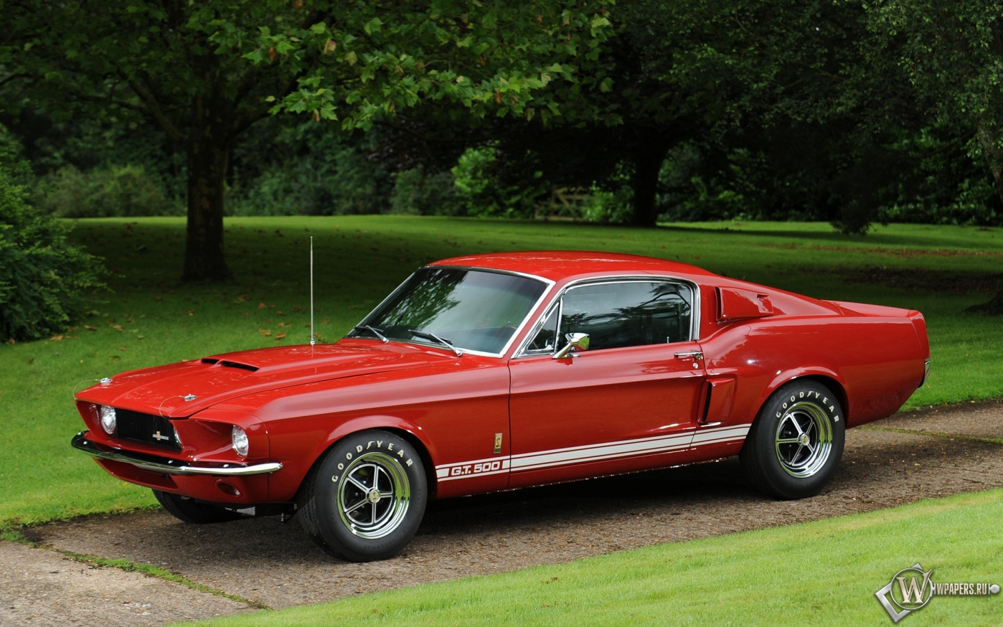 Shelby-GT500 1967 1440x900
