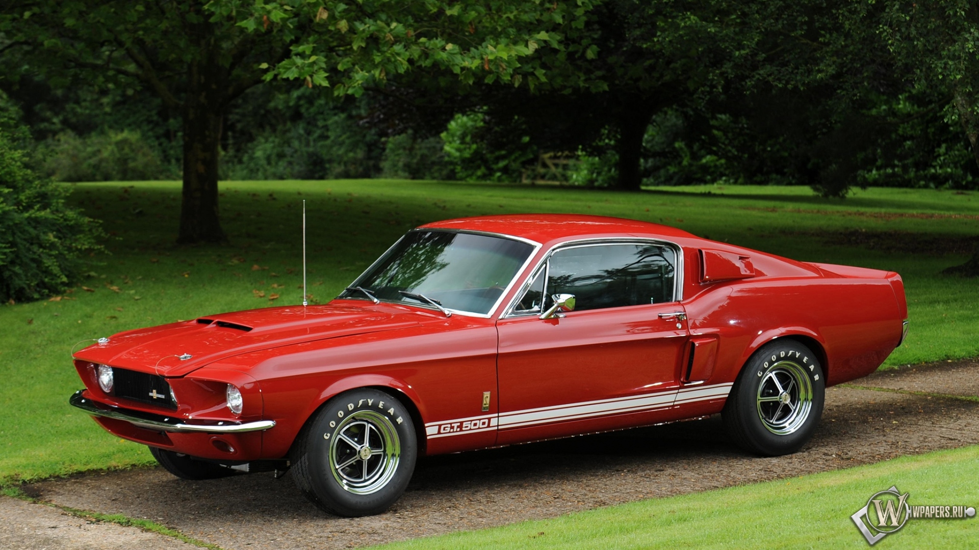 Shelby-GT500 1967 1920x1080