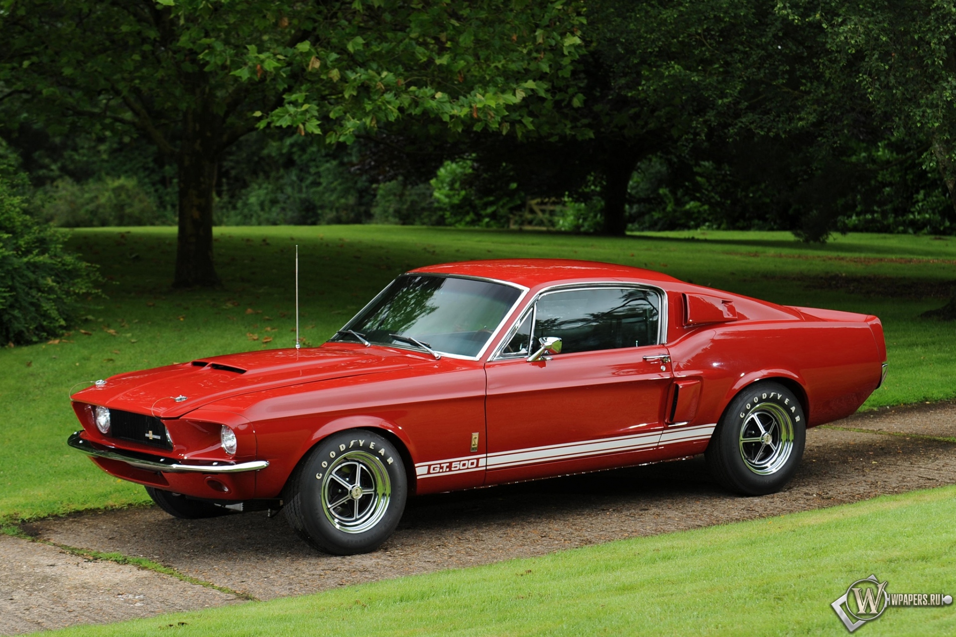 Shelby-GT500 1967 1920x1280