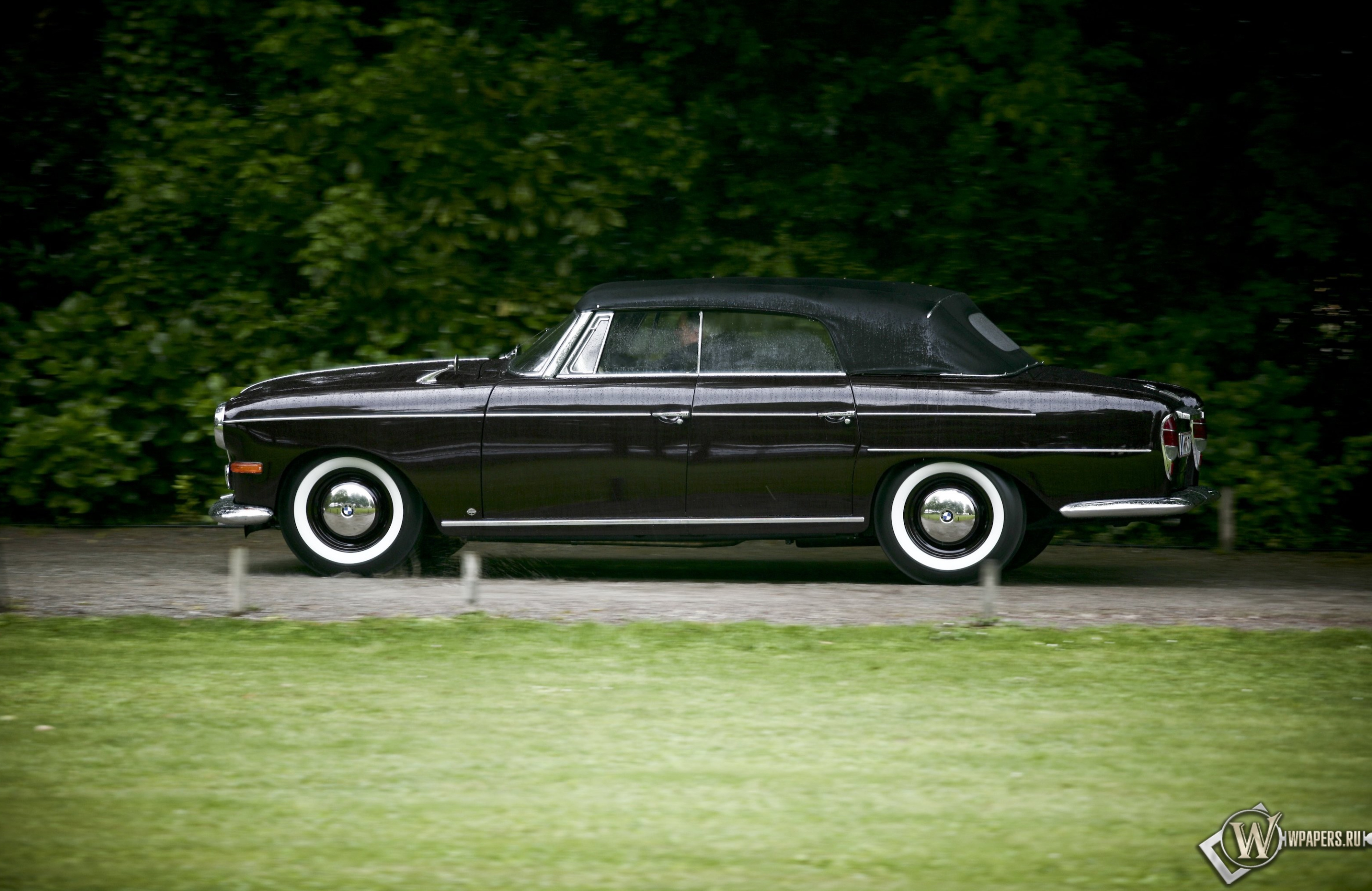 BMW 502 V8 Autenrieth Cabriolet (1960) 3024x1964