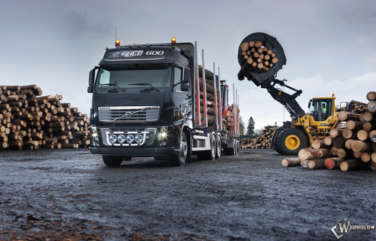 Volvo FH16 Timber Truck 1200x768