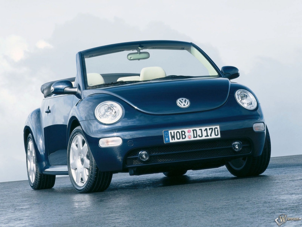 Volkswagen New Beetle 1024x768