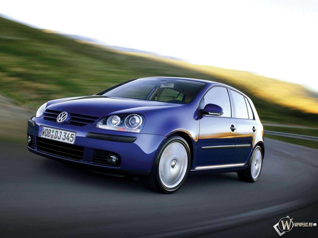 Volkswagen Golf V 2003 г 1024x768