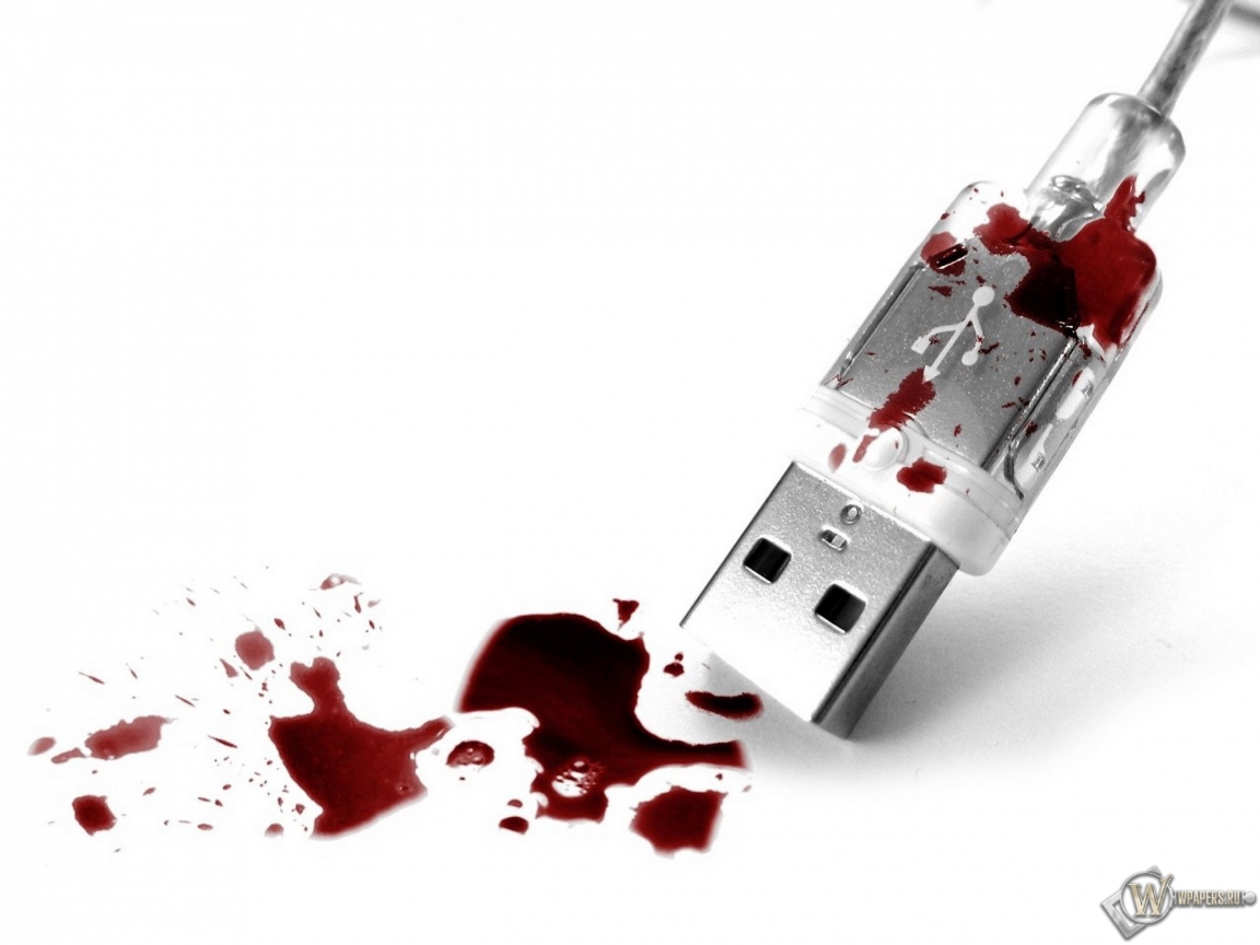 Кровавый USB 1152x864
