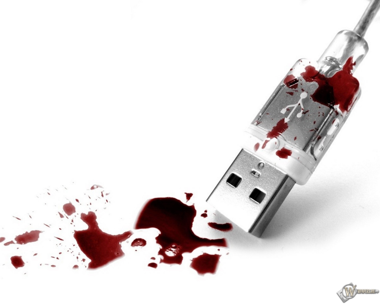 Кровавый USB 1280x1024