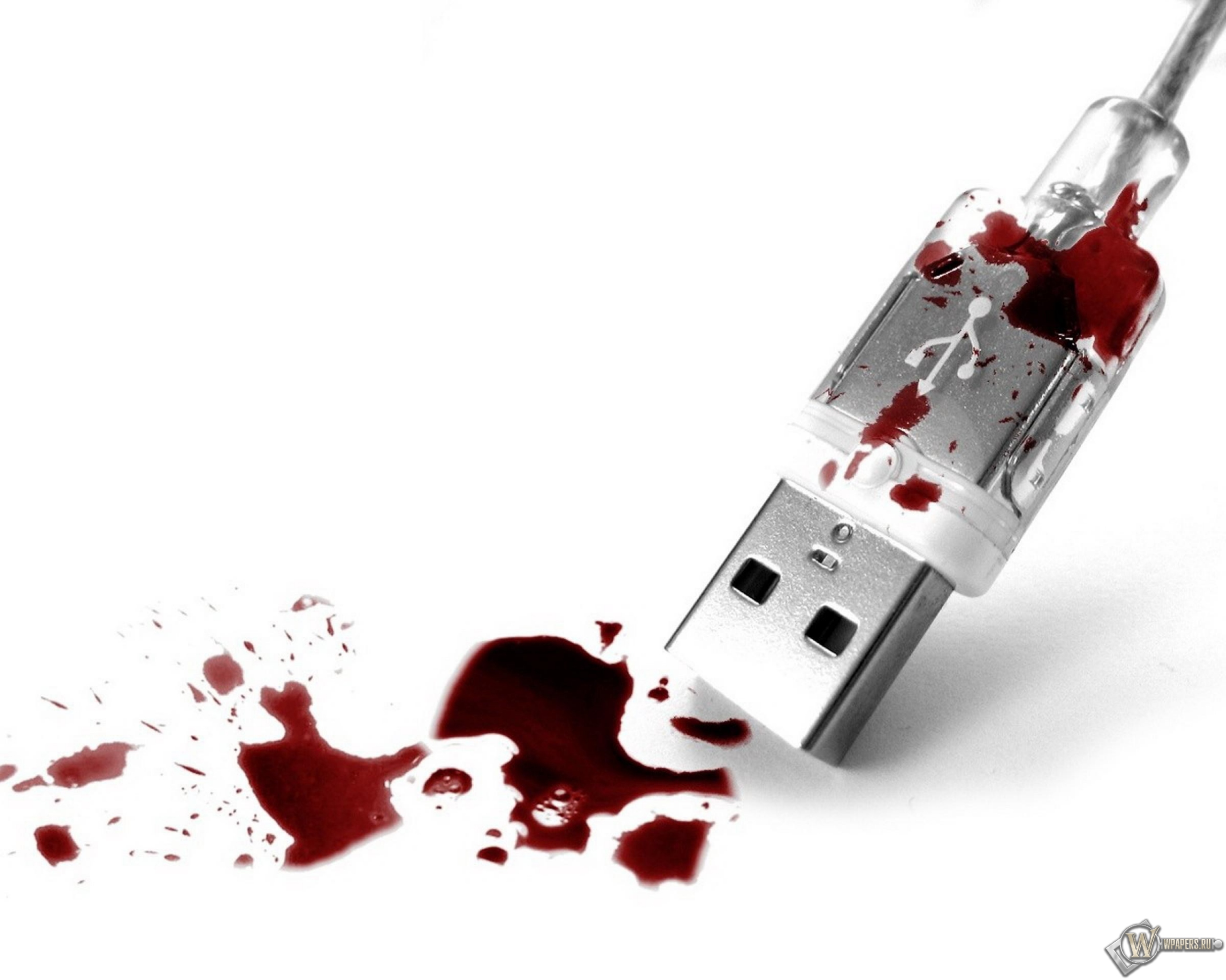 Кровавый USB 2560x2048