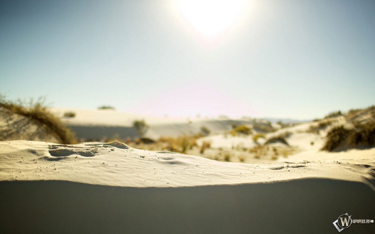 Песчаные холмы 1280x800