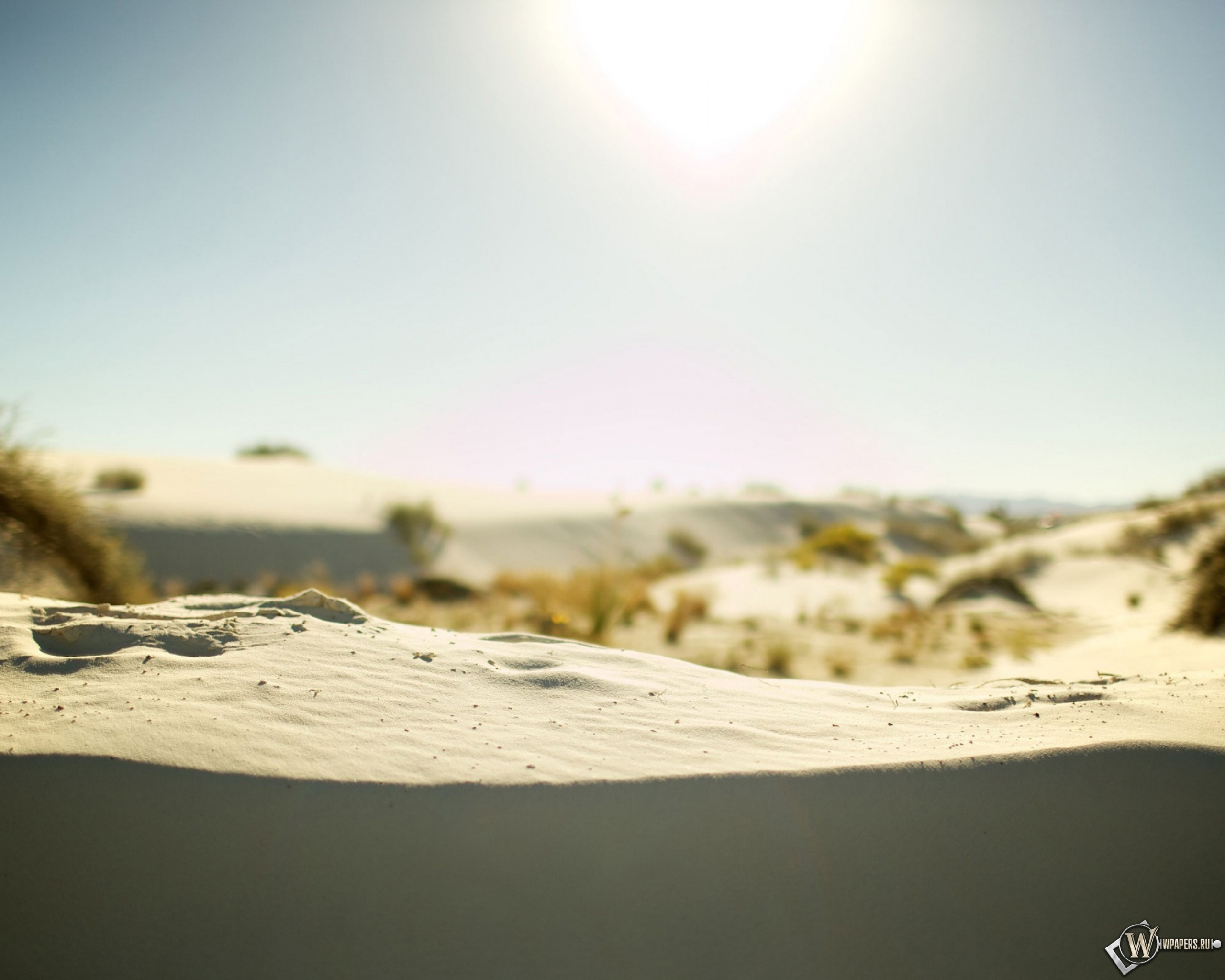 Песчаные холмы 2560x2048