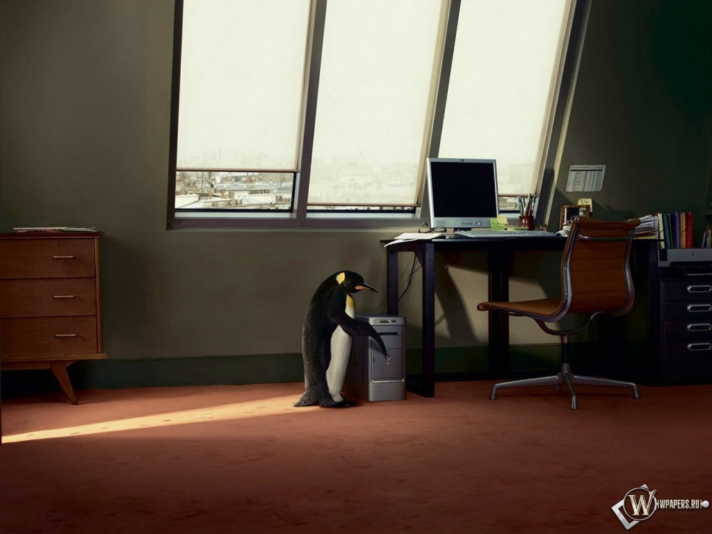 Пингвин в офисе 1024x768