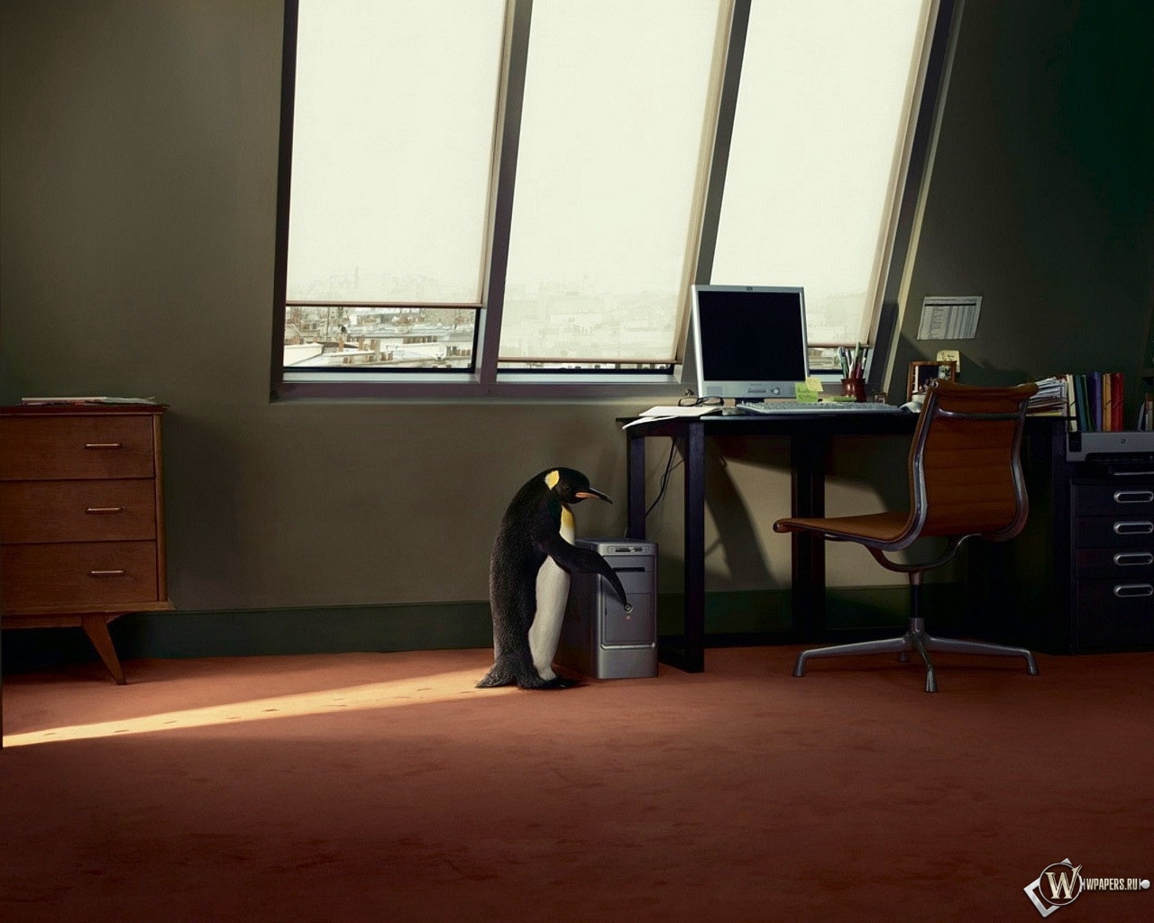 Пингвин в офисе 1280x1024
