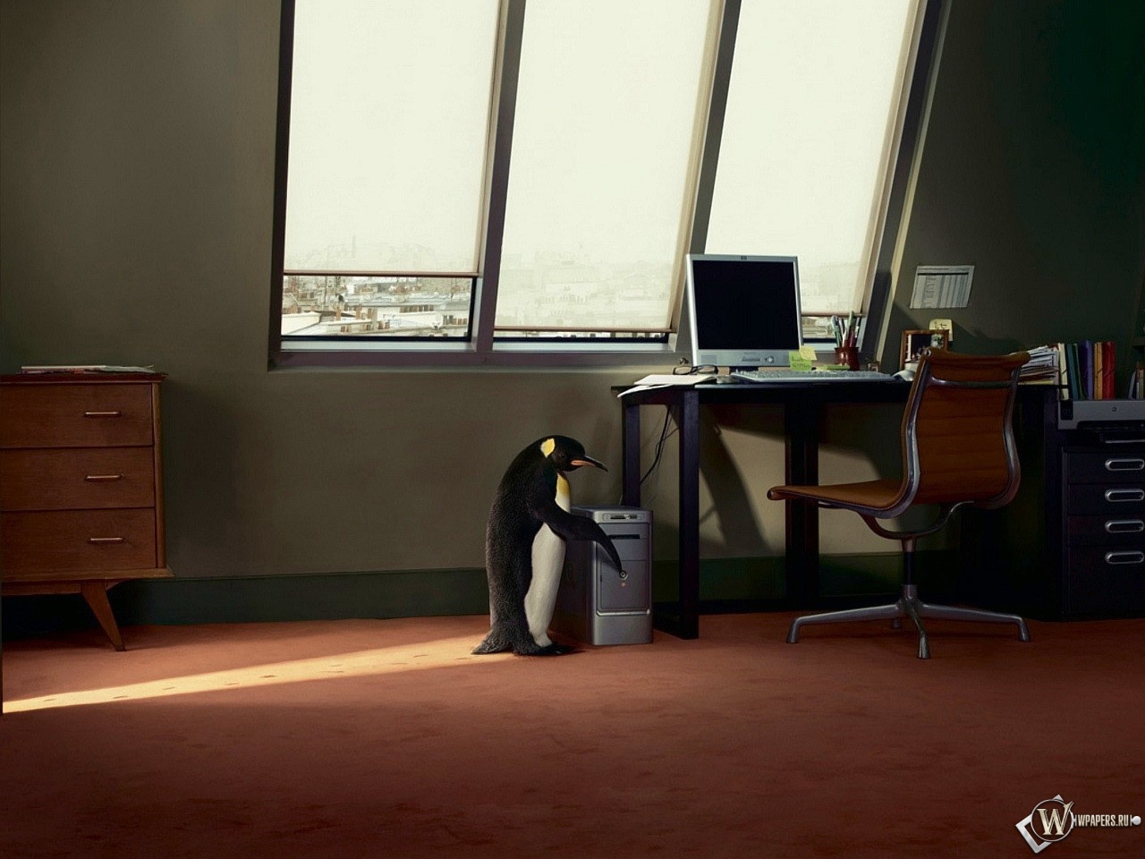 Пингвин в офисе 1280x960