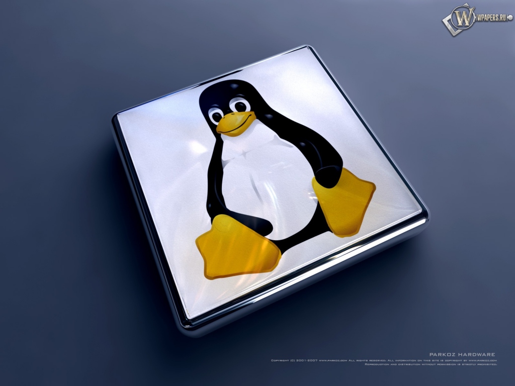 Linux 1024x768