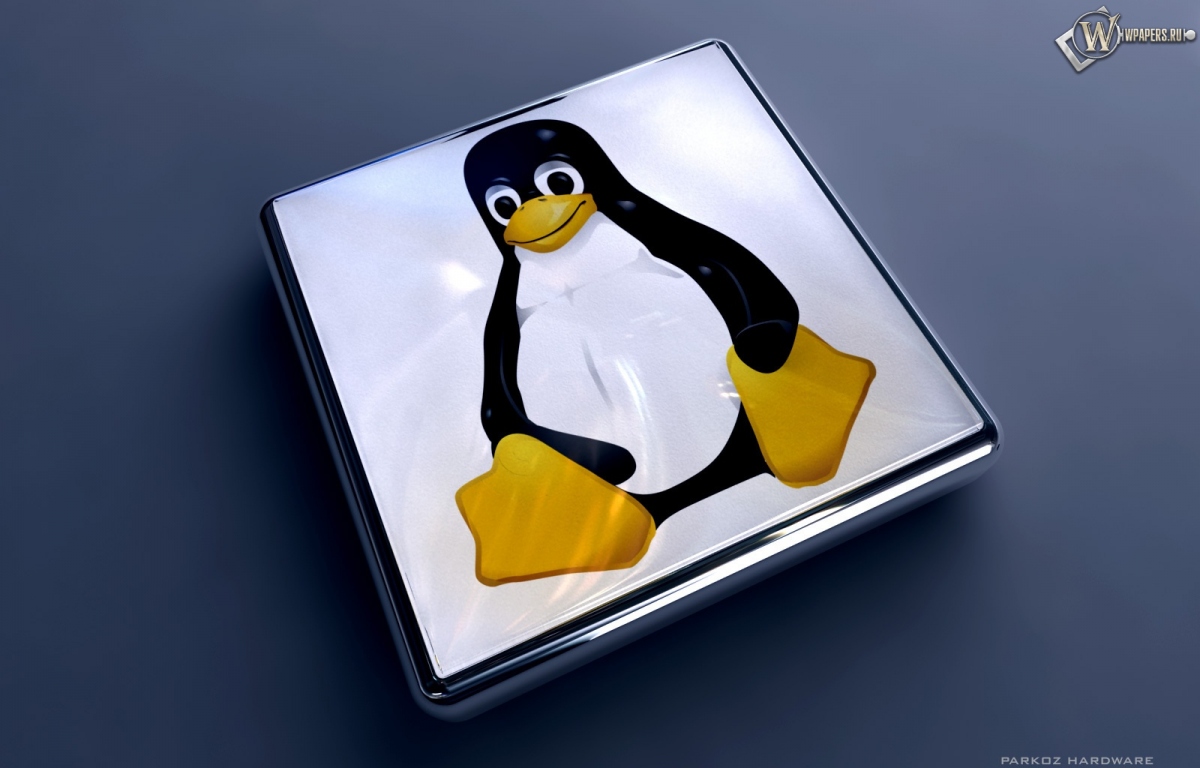 Linux 1200x768