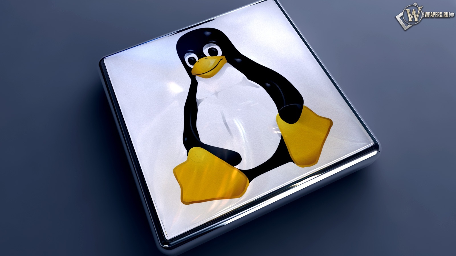 Linux 1600x900