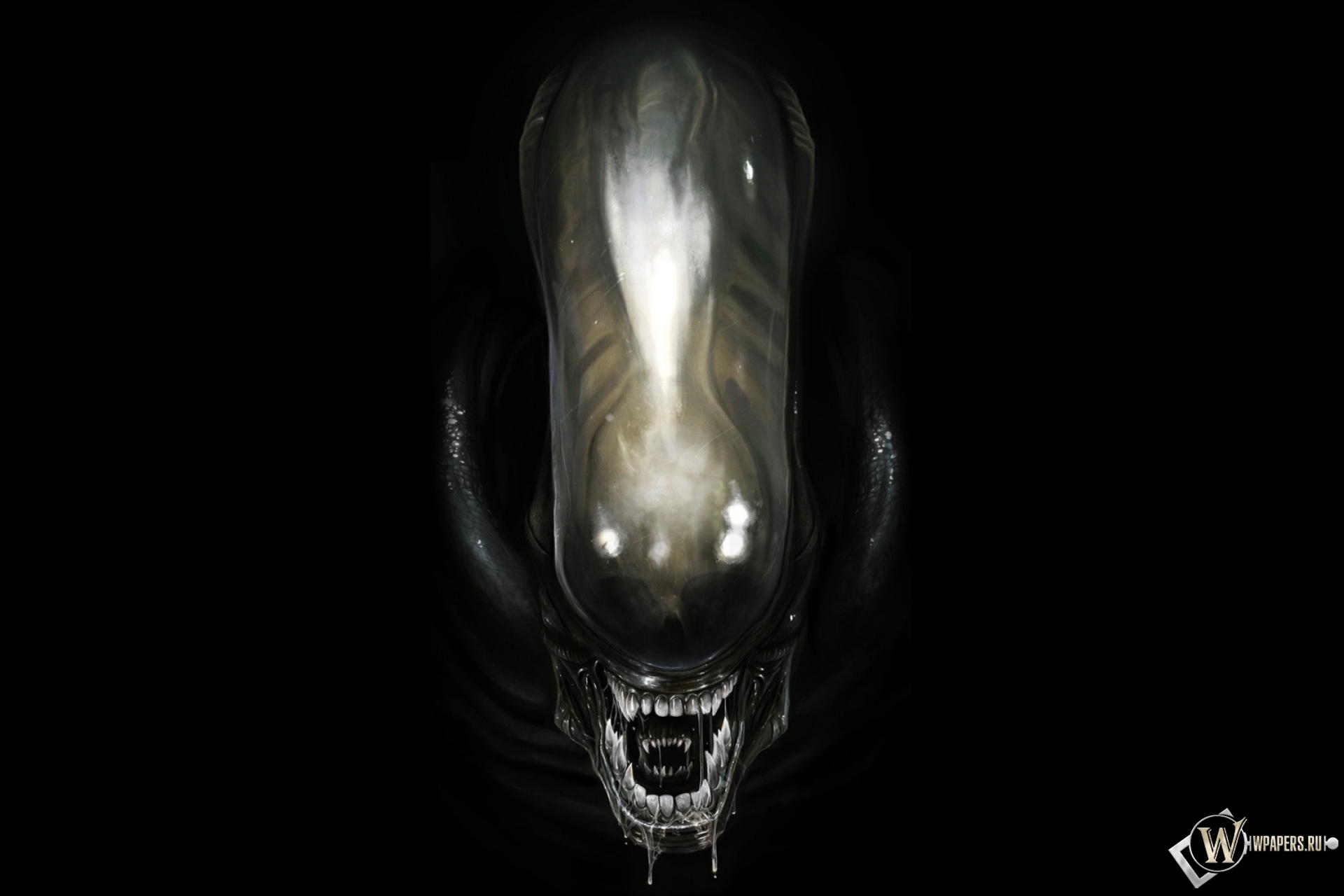 Aliens dark descent. Чужой на черном фоне. Чужой на темном фоне. Чужой 1920x1080.