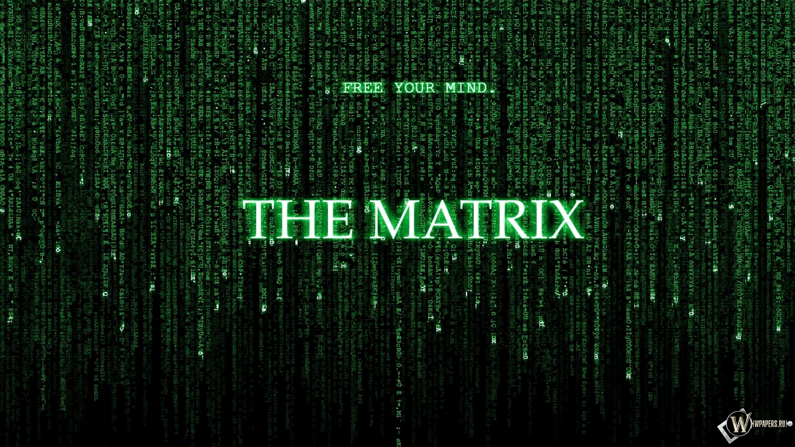 The Matrix 2560x1440