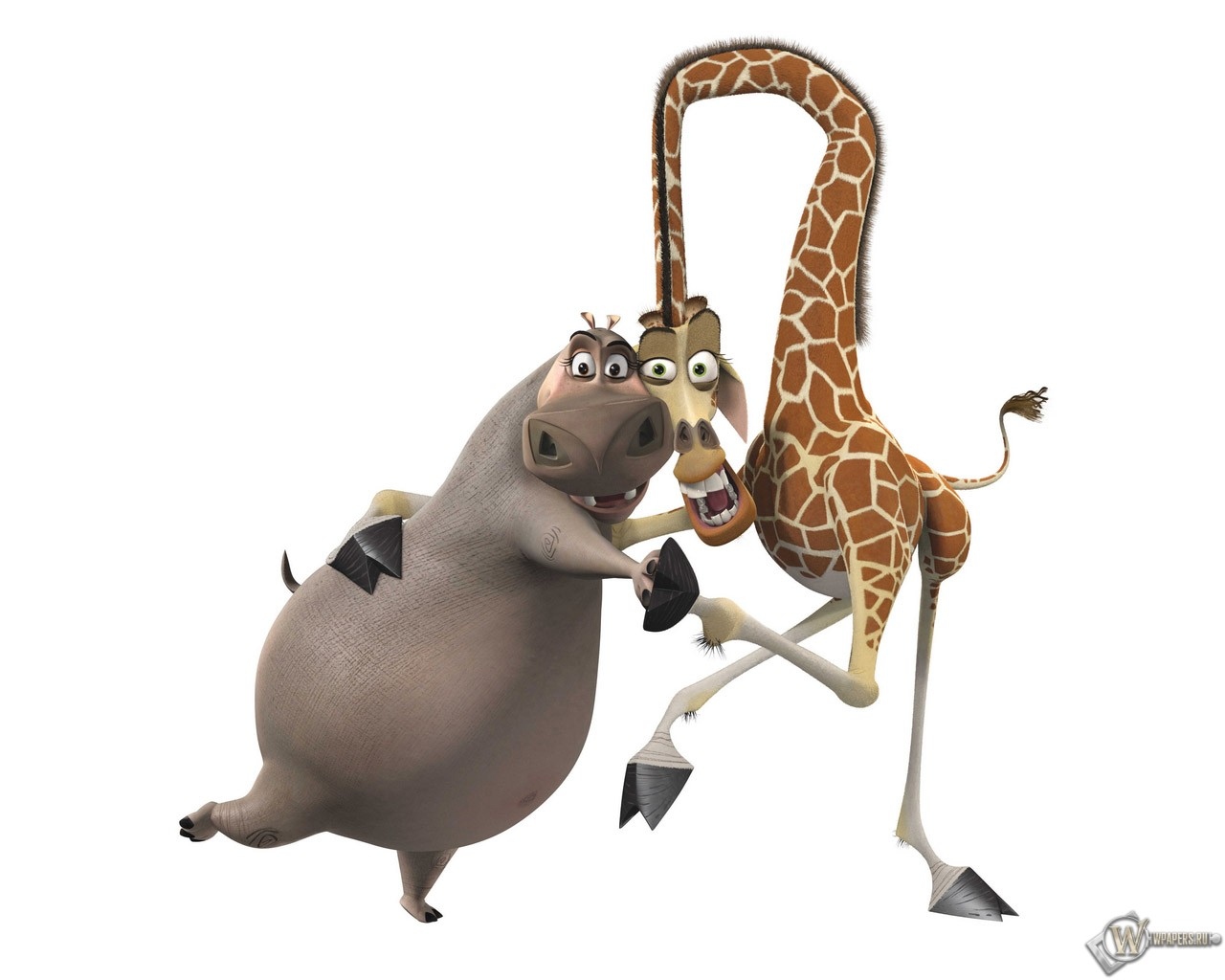 Бегемот и жираф из мадагаскара фото