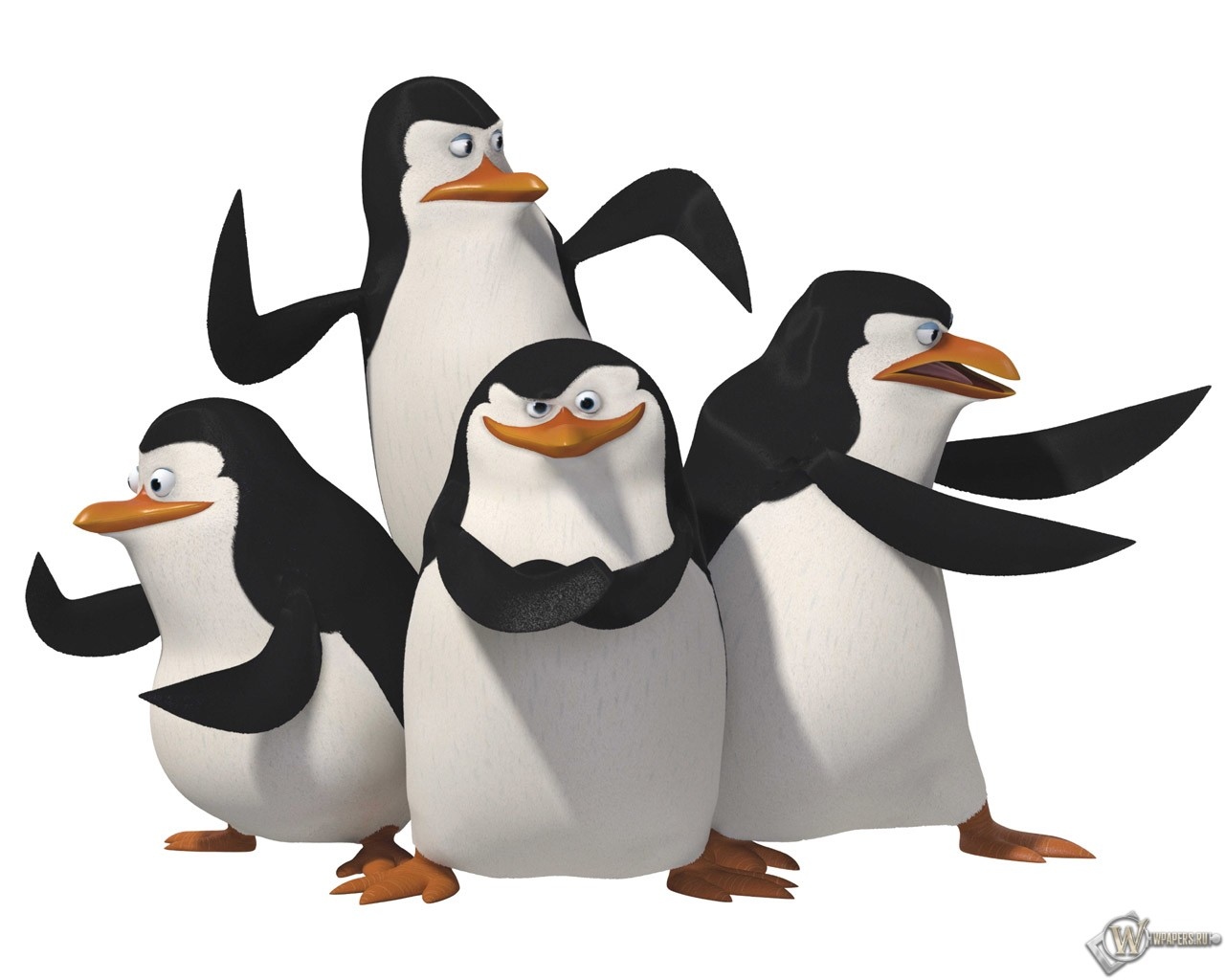 Пингвины мадагаскара 1280x1024