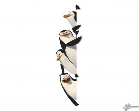 Мадагаскарские пингвины