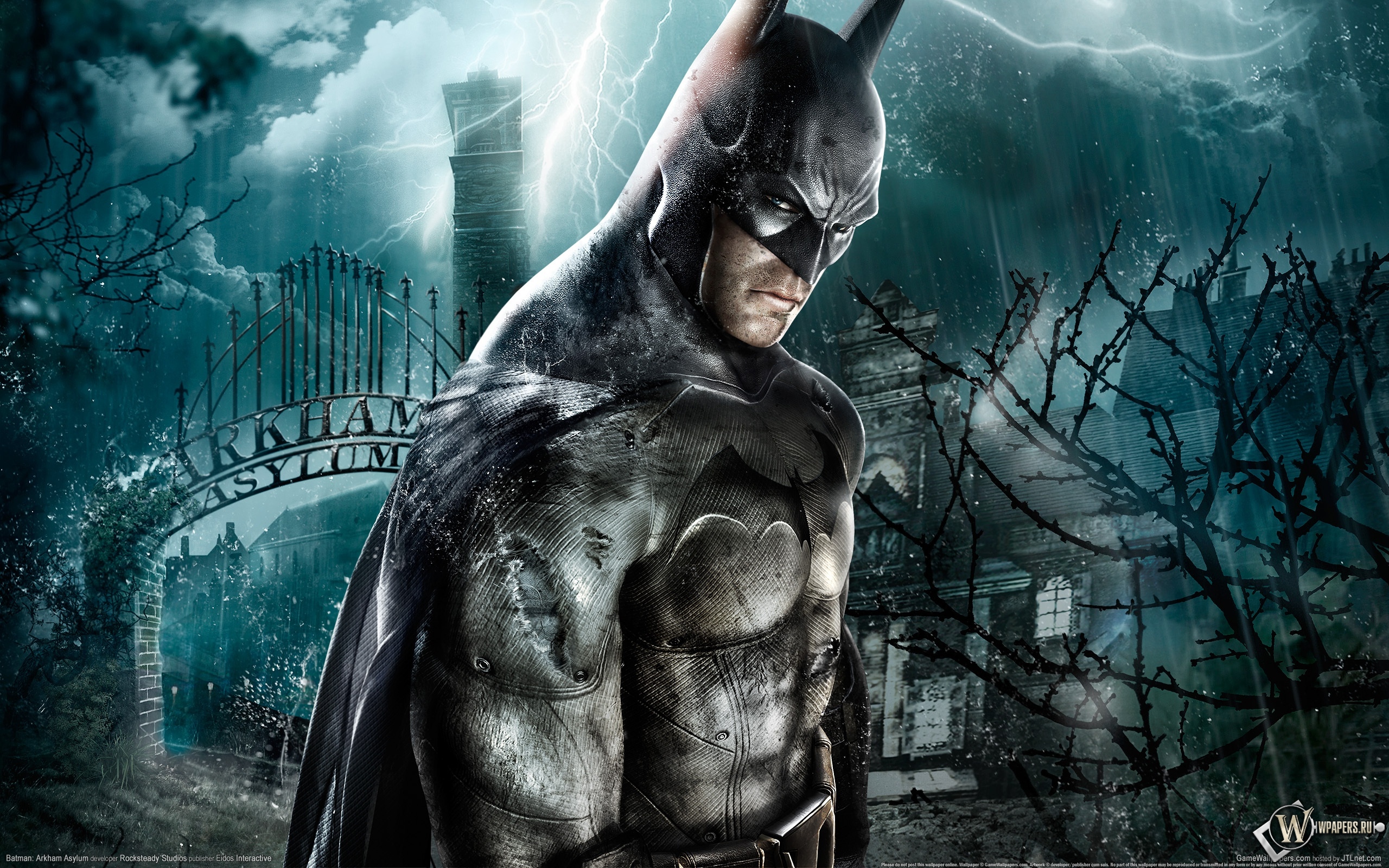 Batman Arkham Asylum 2560x1600