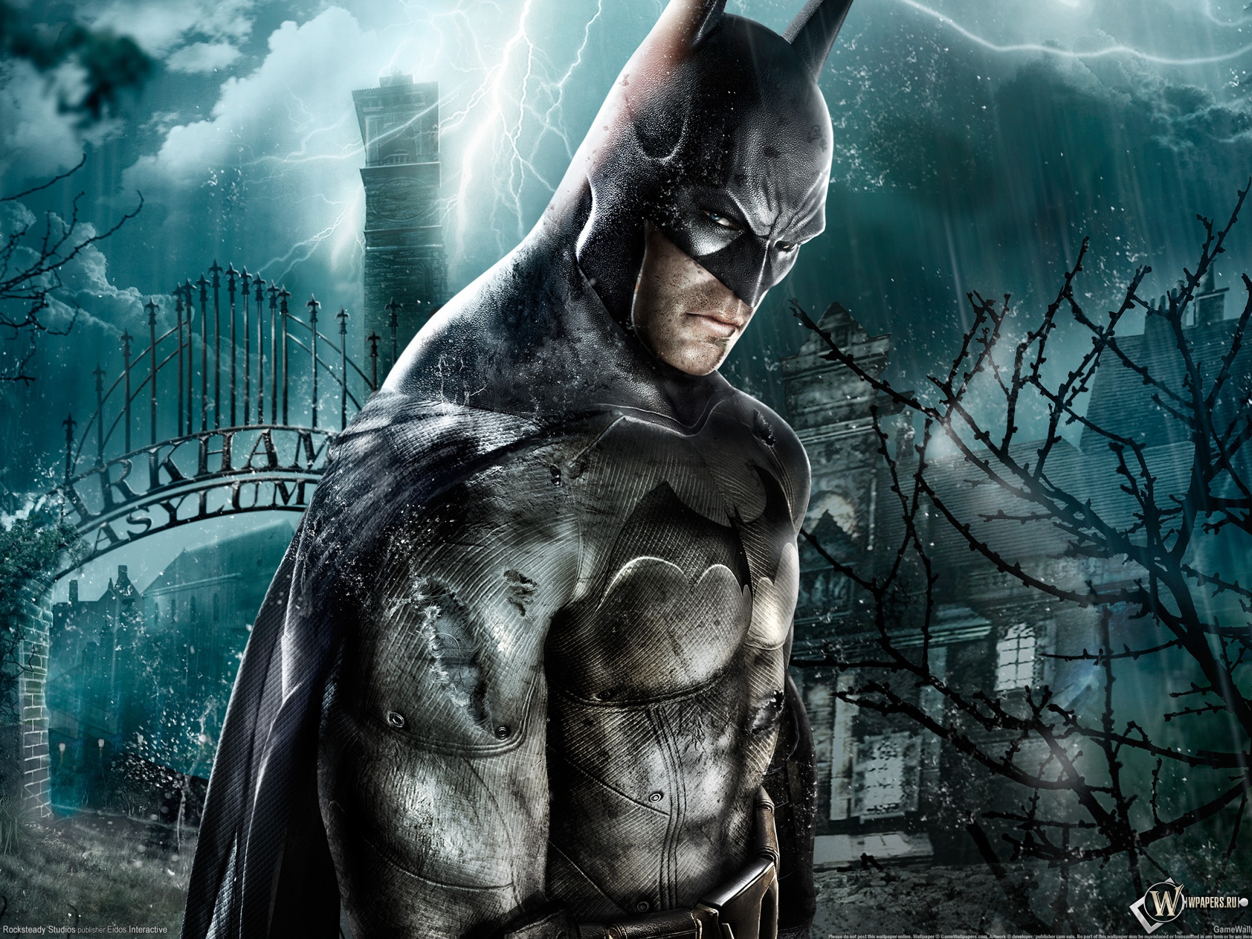 Batman Arkham Asylum 2560x1920