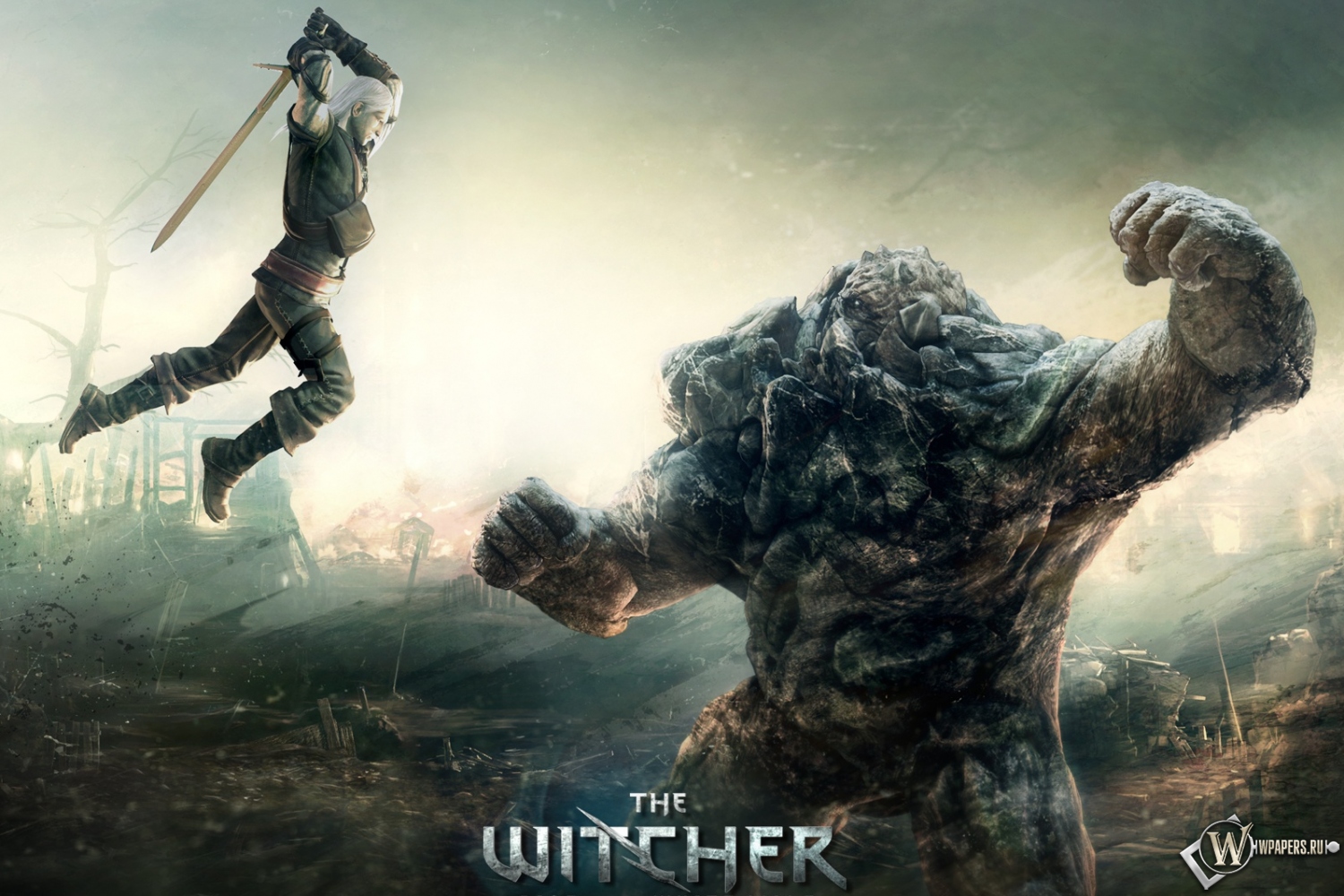 The Witcher 1500x1000