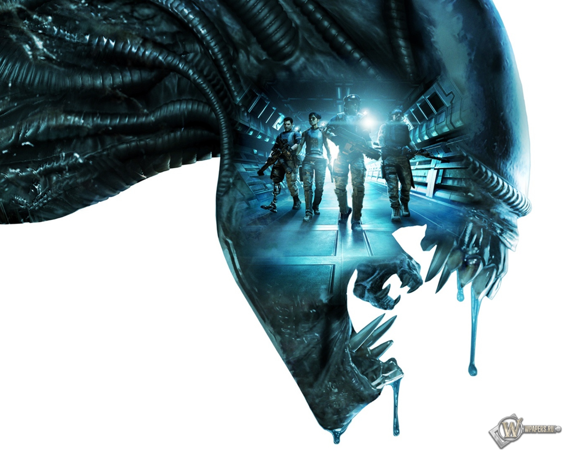 Aliens download. Aliens: Colonial Marines. Aliens Colonial Marines чужие. Aliens: Colonial Marines (ps3). Aliens Colonial Marines 1080.