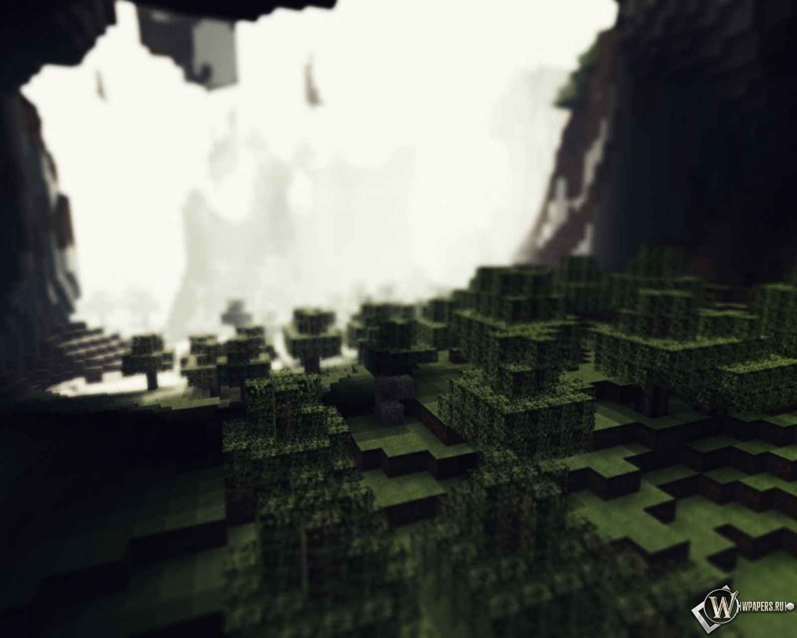 Лес в пещере Minecraft 1600x1280