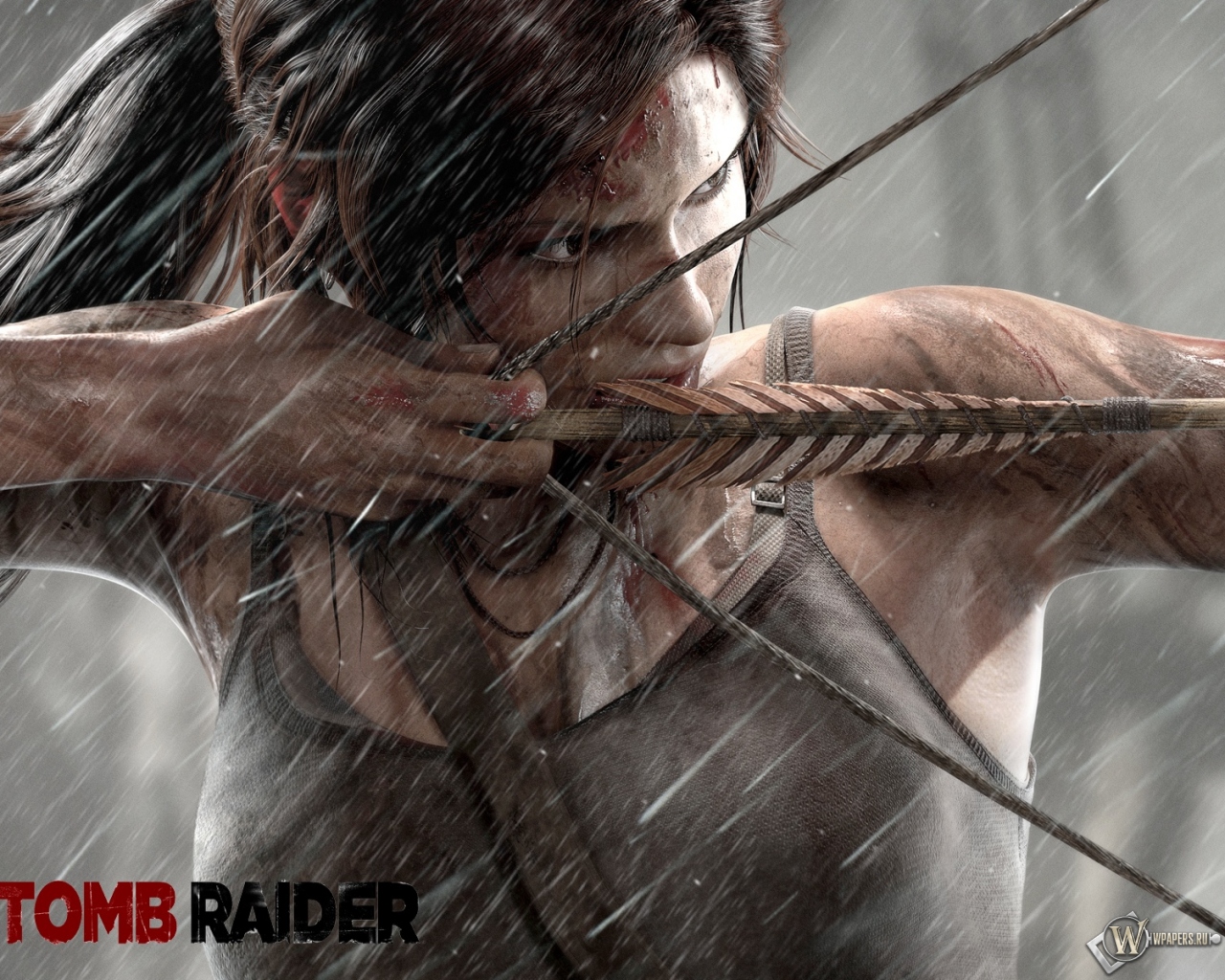 Tomb Raider Lara Croft 2013 1280x1024
