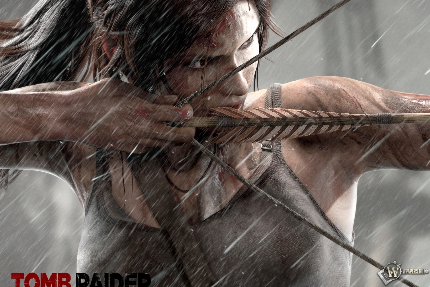 Tomb Raider Lara Croft 2013 1500x1000