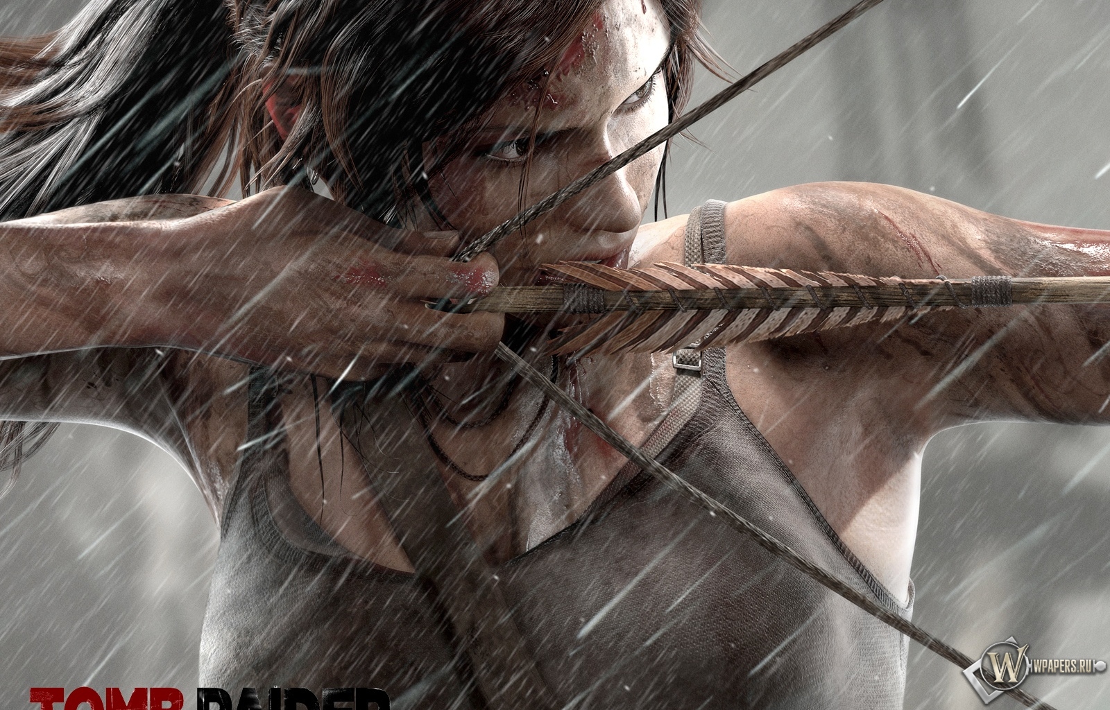 Tomb Raider Lara Croft 2013 1600x1024