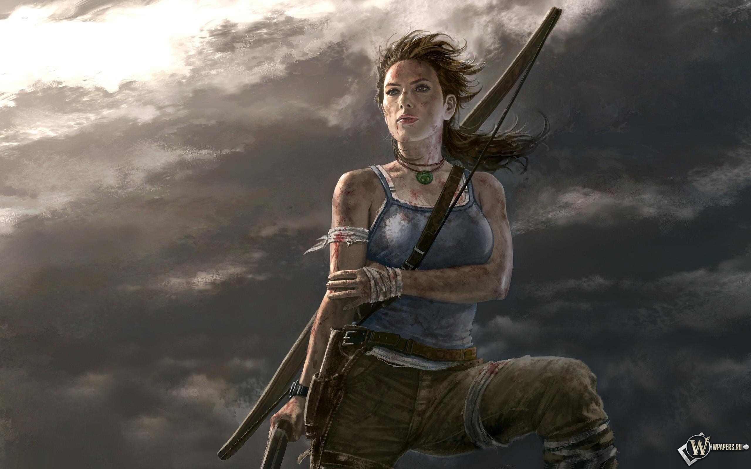 Tomb Raider 2012 2560x1600