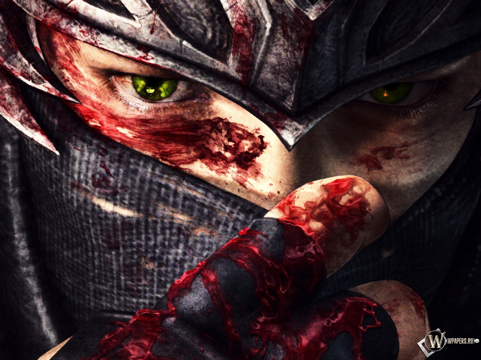 Ninja Gaiden 3 1600x1200