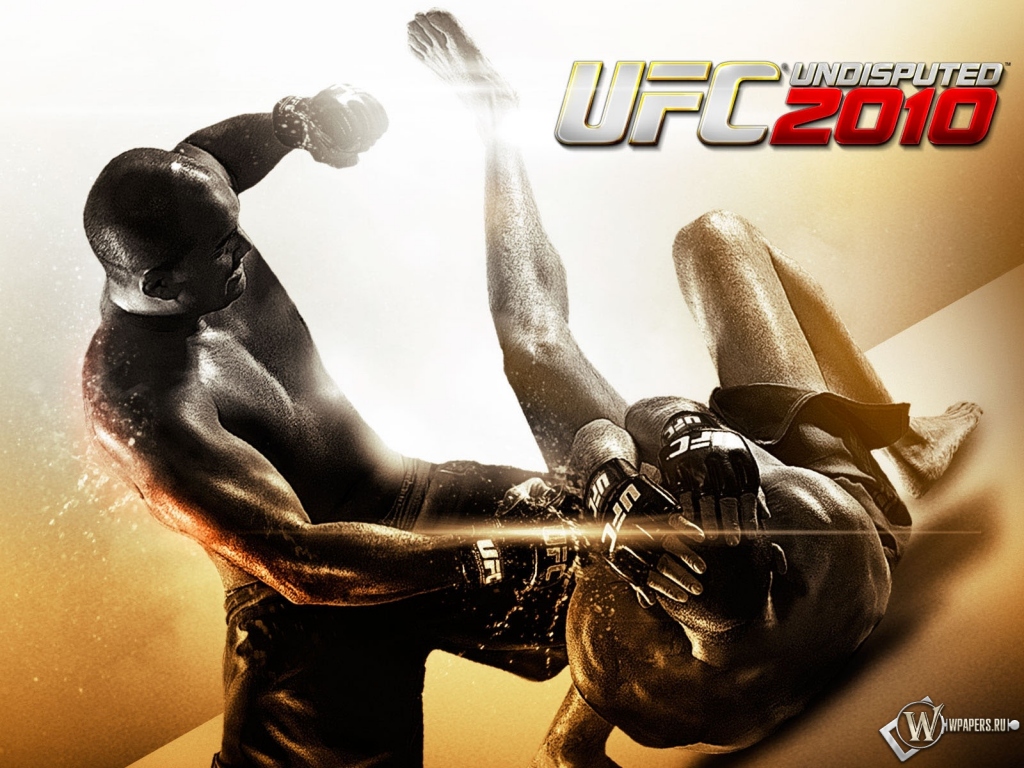 UFC 2010 бои без правил 1024x768