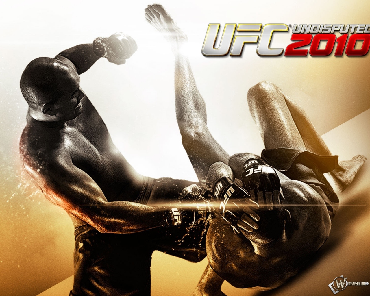 UFC 2010 бои без правил 1280x1024